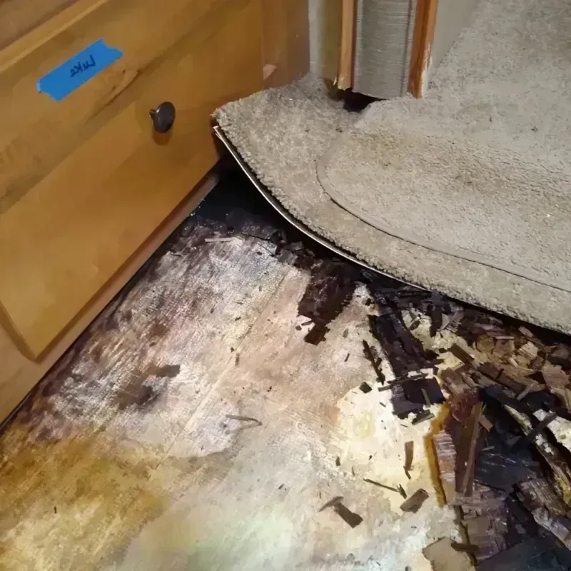 Wood Floor Water Damage in Brandon, FL